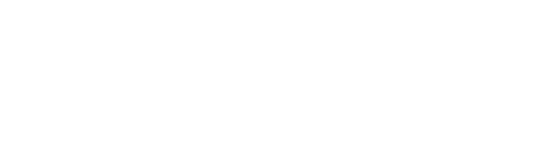 NerdLabs